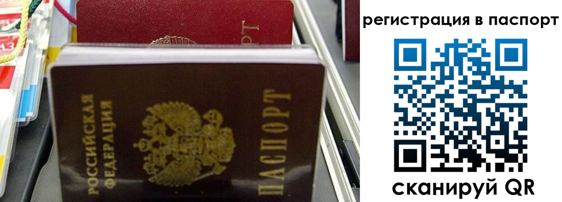 прописка для школы в Лесосибирске